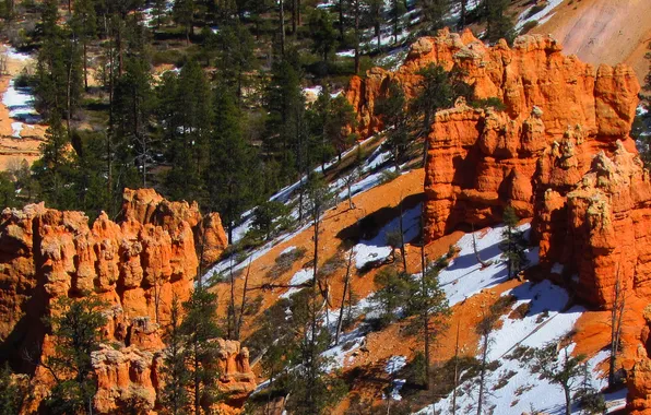 Картинка снег, деревья, горы, скалы, Юта, США, Bryce Canyon National Park