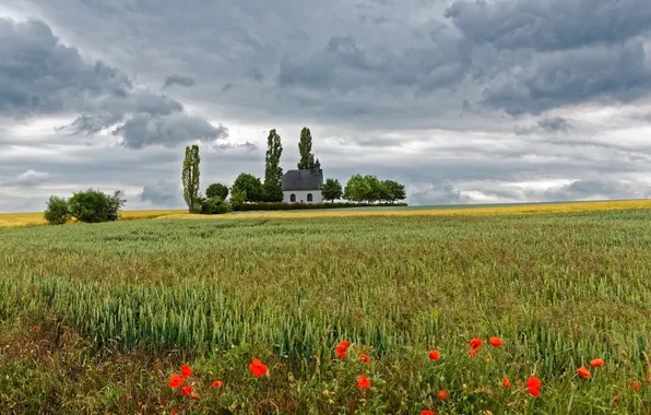 Картинка поле, трава, облака, деревья, дом, маки, Германия, горизонт