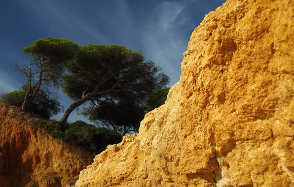 Картинка небо, обрыв, дерево, скалы, песчанник
