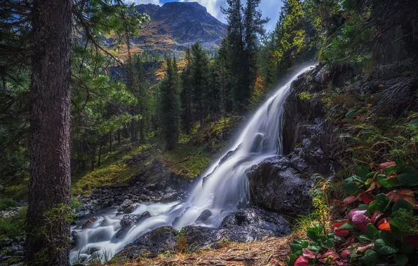 Лес, горы, камни, берег, водопад, поток