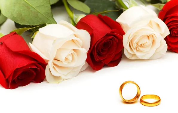 Картинка розы, кольца, rose, ring, обручальные, Wedding