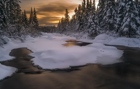 Зима, иней, лес, вода, облака, снег, пейзаж, закат