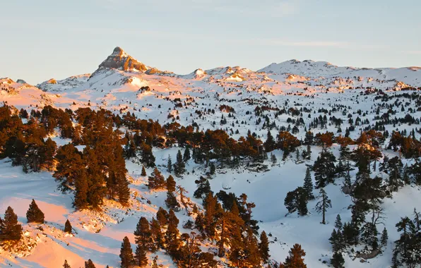 Картинка зима, небо, снег, деревья, горы