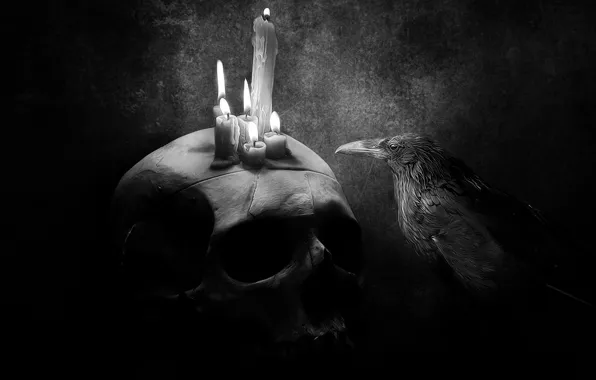 Картинка фон, череп, свечи, Ворон, черно-белое