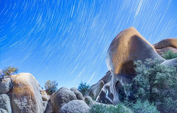 Картинка небо, природа, камни, Joshua Tree, national park, Skull-Rock