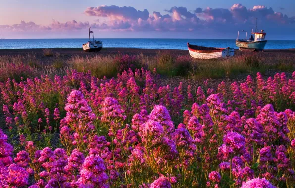 Море, берег, лодки