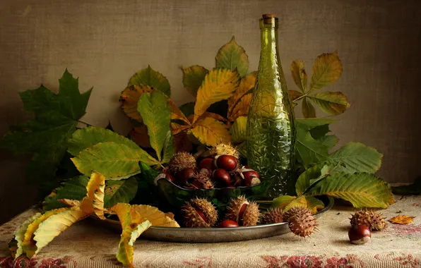Картинка листья, бутылка, покрывало, плоды, миска, натюрморт, блюдо, каштаны