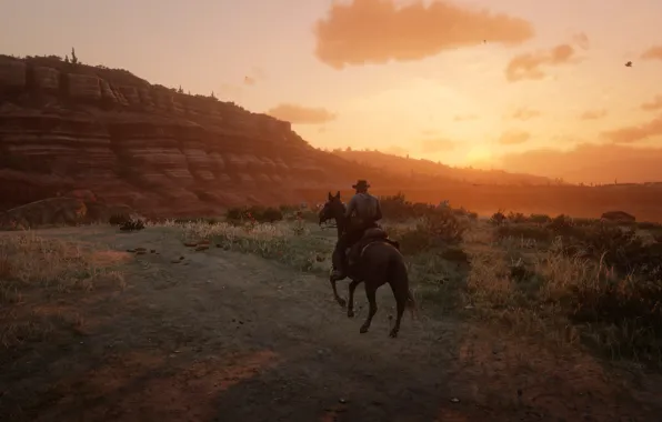 Закат, Ковбой, Red Dead Redemption 2