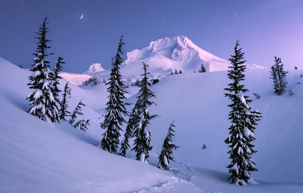 Winter, mountain, snow