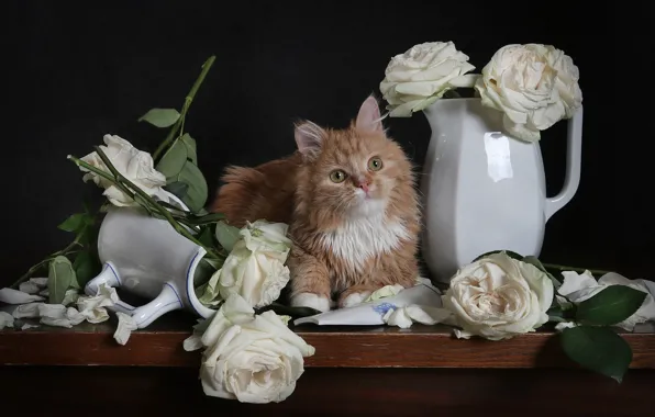 Кошка, кот, взгляд, цветы, котенок, стол, розы, букет