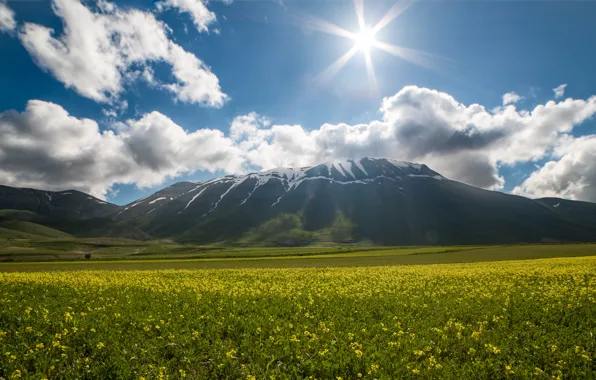 Солнце, цветы, Италия, sunshine, Italy, flowers, Castelluccio, Vettore