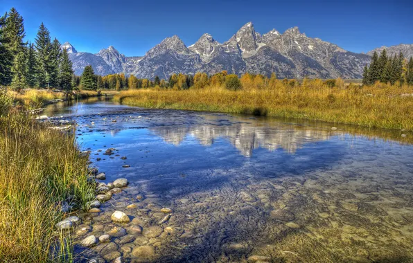 Картинка осень, трава, деревья, горы, ручей, камни, дно, США