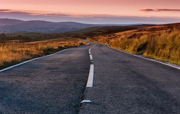 Дорога, пейзаж, утро