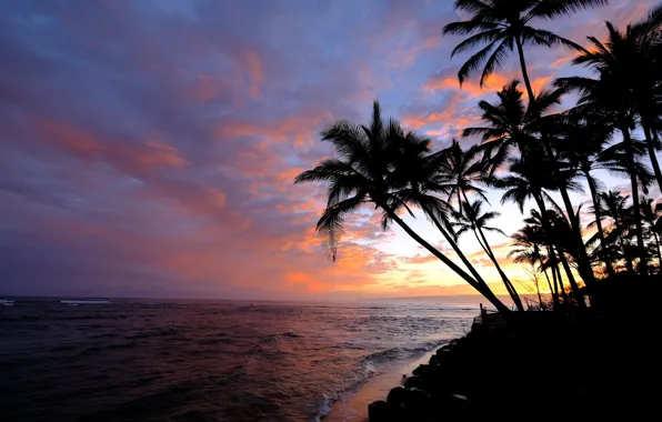 Небо, пальмы, океан, рассвет, утро, Гавайи, Pacific Ocean, Hawaii