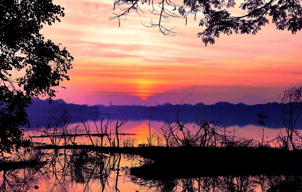 Sun, Water, Sunrise, Dawn, Morning, Lake, Trees, Reflection