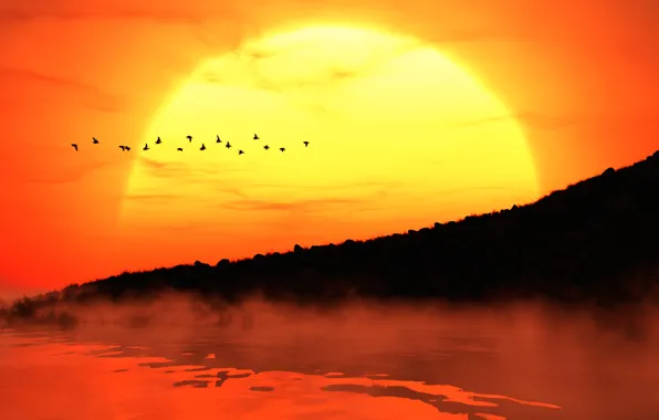 Картинка солнце, закат, птицы, туман, берег, силуэты
