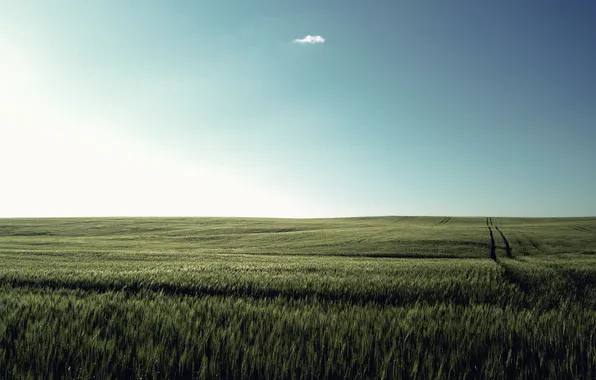 Картинка небо, трава, облако, луг, тишь, солнечный_день