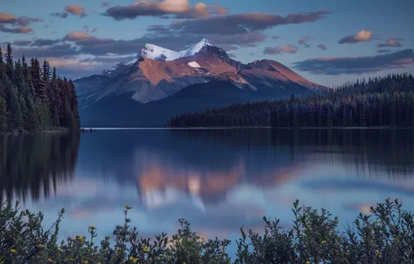 Пейзаж, горы, природа, озеро, вечер, Канада, Альберта, Jasper