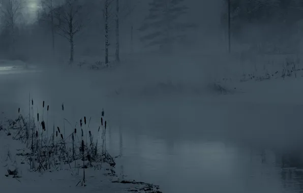 Misty, river, winter, snow