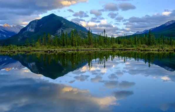 Картинка лес, горы, озеро, отражение, Канада, Альберта, Banff National Park, Alberta