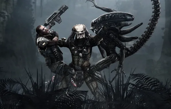 Alien, games, predator