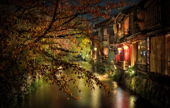 Картинка ночь, ветки, город, дома, Япония, освещение, канал, Киото
