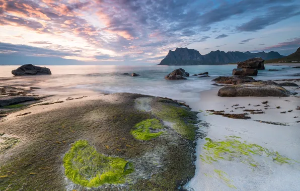 Картинка море, побережье, Норвегия, Lofoten, Vestvågøy