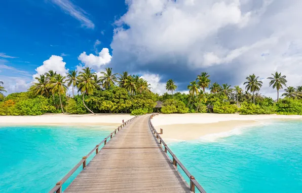 Картинка пляж, мост, тропики, пальмы, океан, побережье, Мальдивы, Maldives