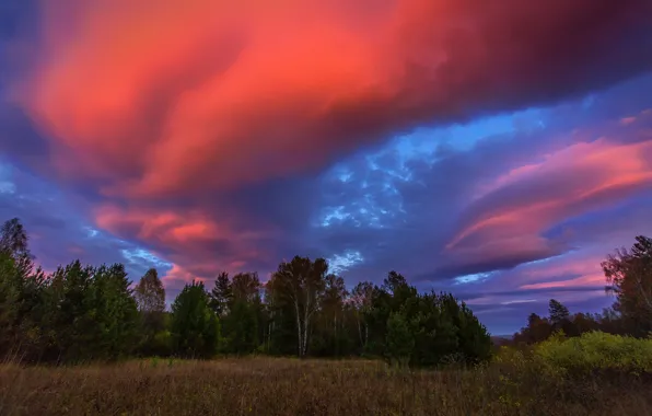 Картинка небо, облака, деревья, пейзаж, закат, природа, зарево, Башкортостан
