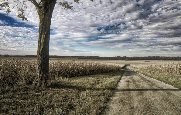 Illinois, Road, Logan County