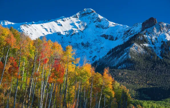 Осень, снег, деревья, природа, Колорадо, США, Скалистые горы