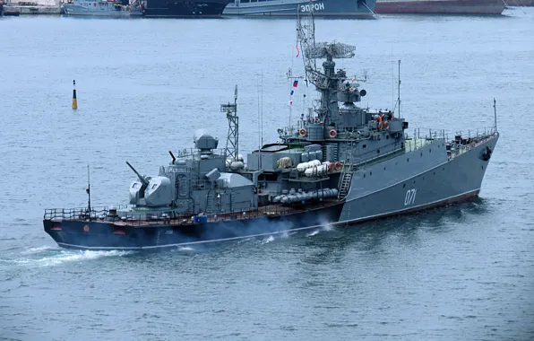 Альбатрос, севастополь, суздалец, мпк