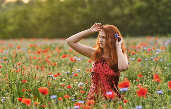 Лето, девушка, цветы, природа, поза, маки, руки, платье