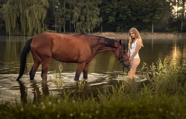 Лес, вода, девушка, деревья, природа, река, лошадь, трусики