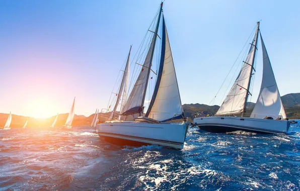 Море, спорт, яхты, регата