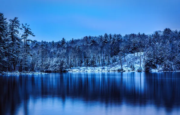 Картинка зима, снег, деревья, озеро, парк, Haviland Cove Park, Glens Falls