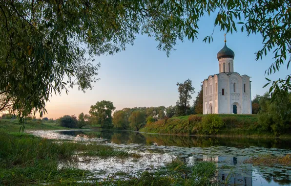 Картинка осень, деревья, пейзаж, ветки, природа, река, утро, церковь