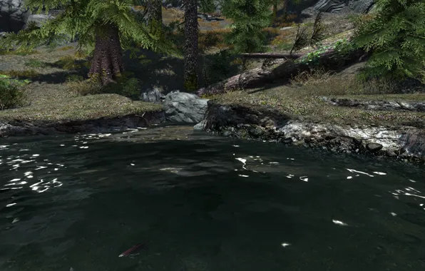 Озеро, камень, ель, stone, lake, skyrim, скайрим, fish