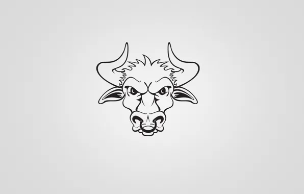 Картинка минимализм, рога, бык, bull