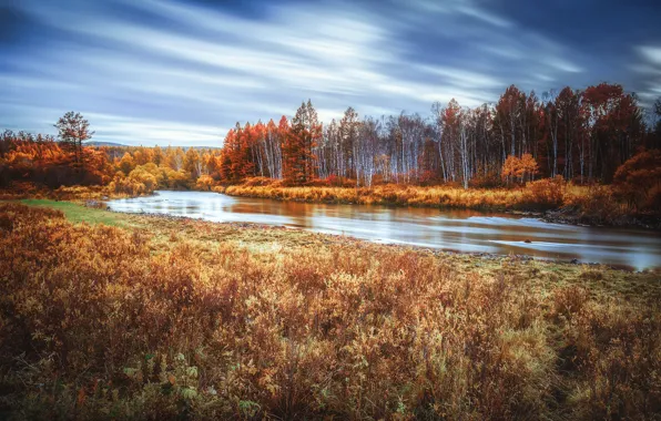 Осень, лес, небо, облака, река, берег, течение, кусты