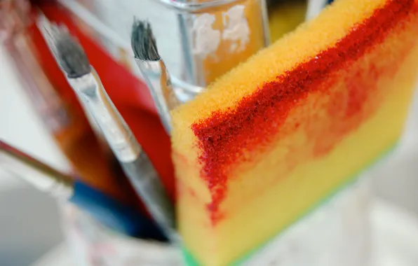 Color, sponge, Paintbrush