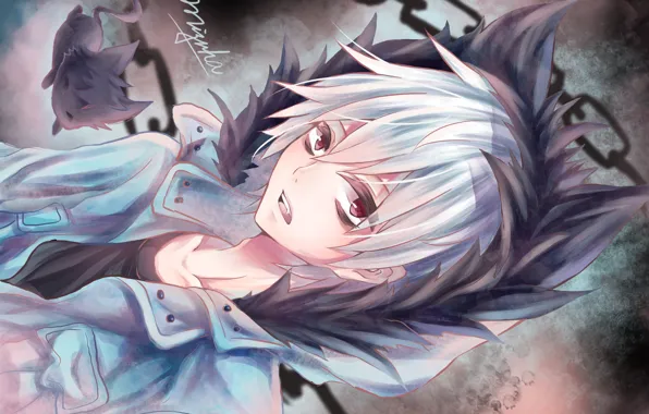 Аниме, арт, вампир, парень, Куро, Servamp