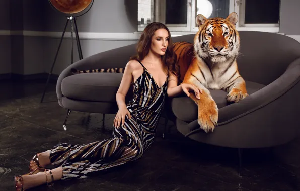 Картинка девушка, тигр, поза, стиль, диван, модель, дикая кошка, Антон Дёмин