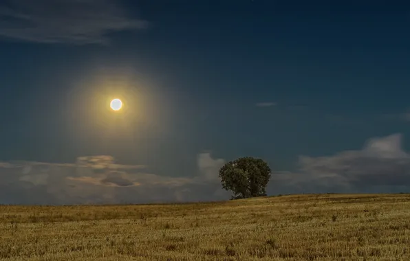 Картинка небо, облака, деревья, ночь, поля, лунный свет, сельская местность, фермы