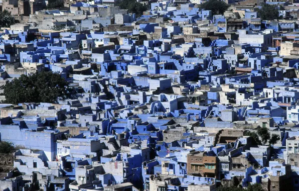 Город, дома, Индия, India, Раджастан, Jodhpur, Голубой город, The Blue City