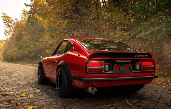Nissan, Red, Datsun, Autumn, Road, Forest, Rear, Fairlady Z