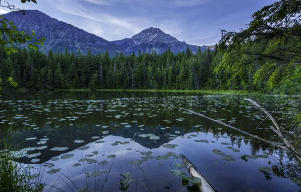 Лес, горы, озеро, HDR, США, Glacier, Johns Lake