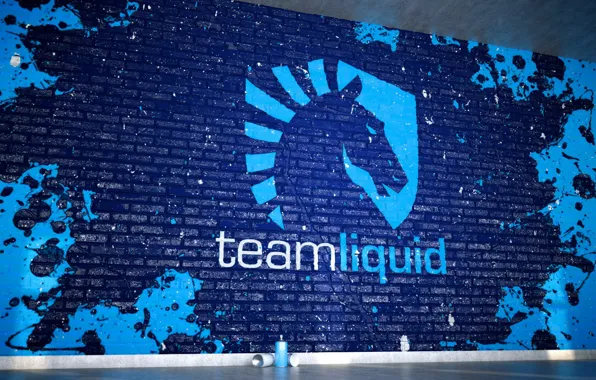 Team, dota2, cs:go, counter-strike global offensive, team liquid
