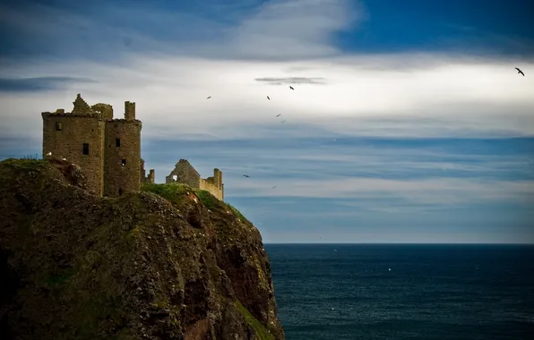 Море, замок, чайки, Шотландия, Данноттар