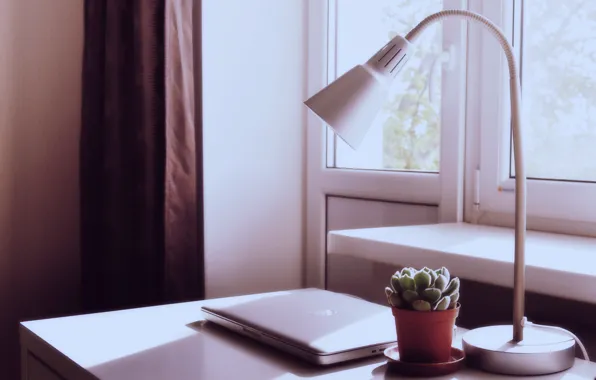 Картинка стол, растение, лампа, apple, дверь, окно, балкон, ноутбук